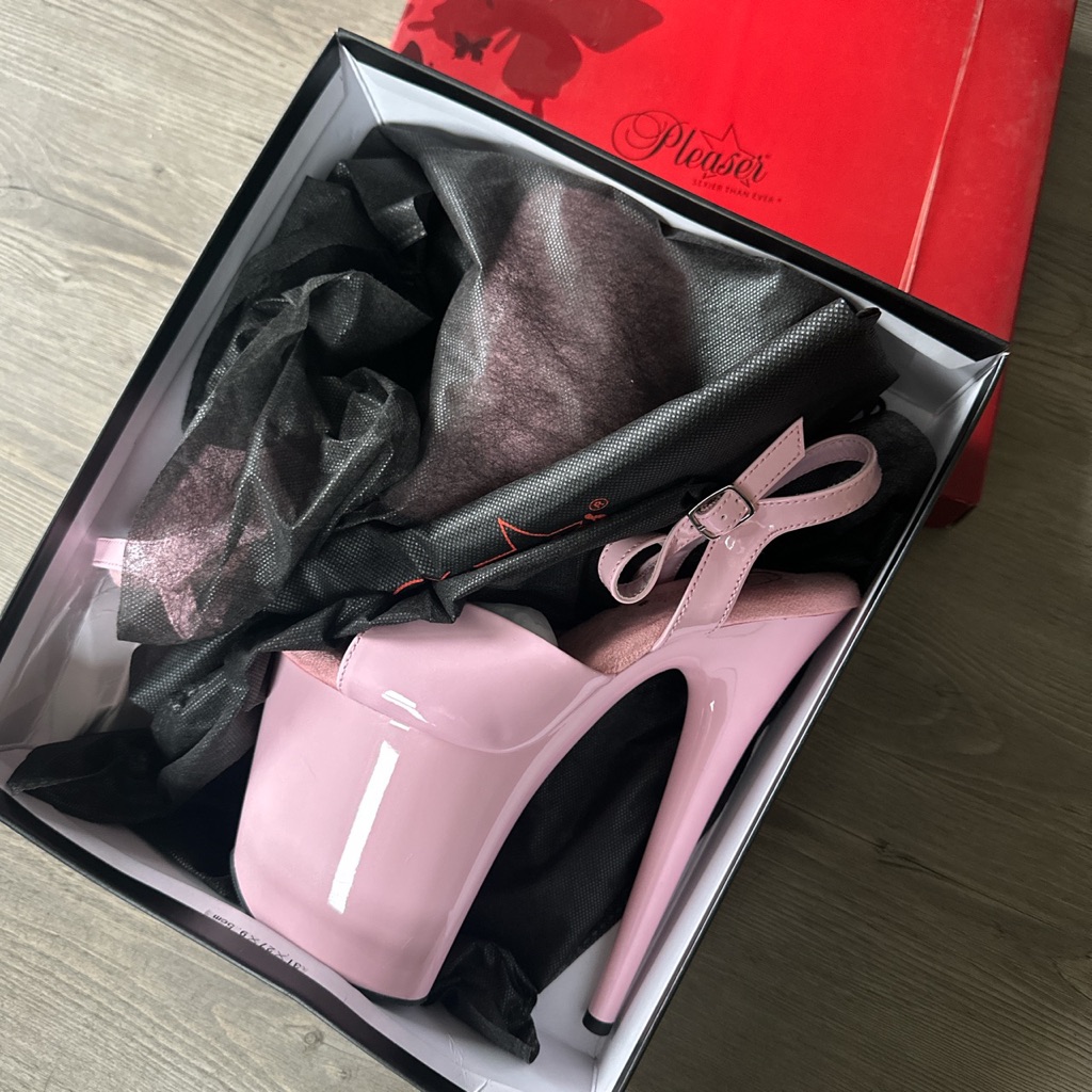 Flamingo 809